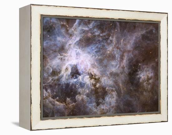 Widefield View of the Tarantula Nebula-null-Framed Premier Image Canvas