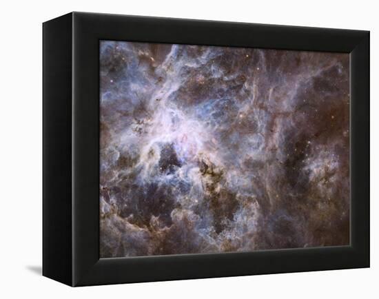 Widefield View of the Tarantula Nebula-null-Framed Premier Image Canvas