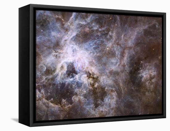 Widefield View of the Tarantula Nebula-null-Framed Premier Image Canvas