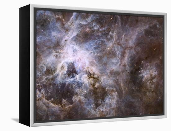 Widefield View of the Tarantula Nebula-null-Framed Premier Image Canvas