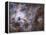 Widefield View of the Tarantula Nebula-null-Framed Premier Image Canvas