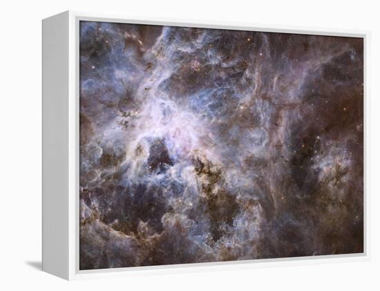 Widefield View of the Tarantula Nebula-null-Framed Premier Image Canvas