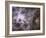 Widefield View of the Tarantula Nebula-null-Framed Photographic Print