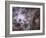 Widefield View of the Tarantula Nebula-null-Framed Photographic Print