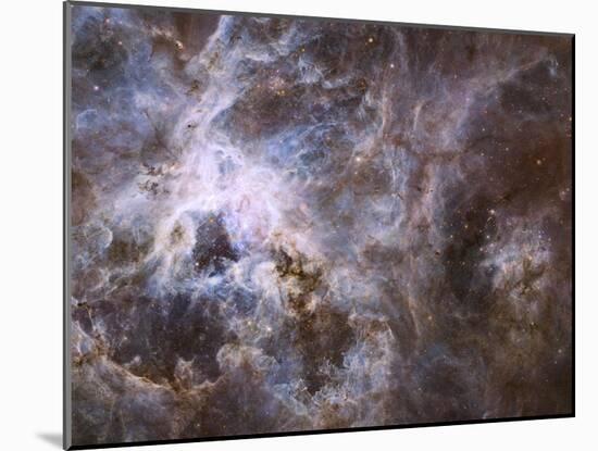 Widefield View of the Tarantula Nebula-null-Mounted Photographic Print