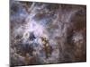 Widefield View of the Tarantula Nebula-null-Mounted Photographic Print