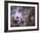 Widefield View of the Tarantula Nebula-null-Framed Photographic Print