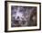 Widefield View of the Tarantula Nebula-null-Framed Photographic Print