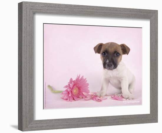 Widget-Rachael Hale-Framed Art Print