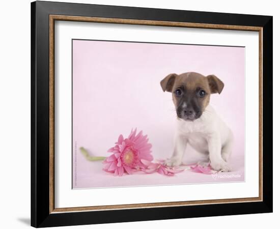 Widget-Rachael Hale-Framed Art Print