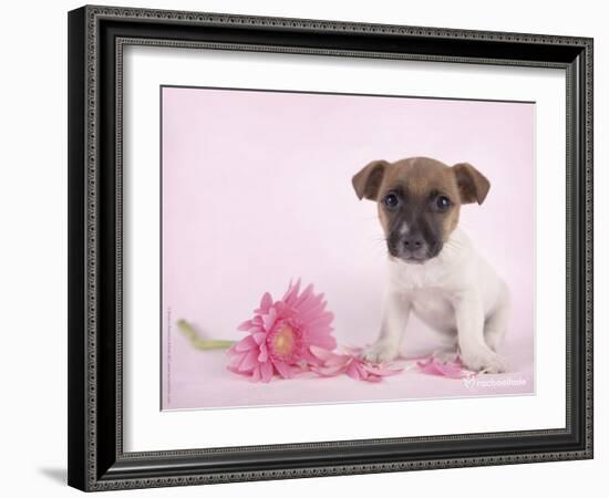 Widget-Rachael Hale-Framed Art Print