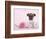 Widget-Rachael Hale-Framed Photographic Print