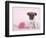 Widget-Rachael Hale-Framed Photographic Print