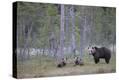 Stretched Canvas Print
