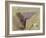 Wied Zurrik, Malta, 10 Am, 11th March-Edward Lear-Framed Giclee Print