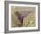 Wied Zurrik, Malta, 10 Am, 11th March-Edward Lear-Framed Giclee Print