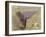 Wied Zurrik, Malta, 10 Am, 11th March-Edward Lear-Framed Giclee Print