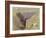 Wied Zurrik, Malta, 10 Am, 11th March-Edward Lear-Framed Giclee Print