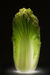 Chinese cabbage-Wieteke de Kogel-Photographic Print