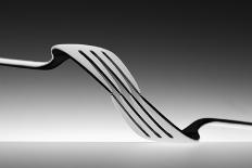 Mobius fork-Wieteke de Kogel-Photographic Print