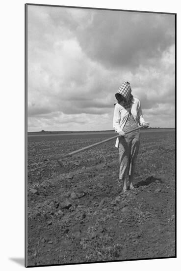 Wife of Texas Tenant Farmer.-Dorothea Lange-Mounted Art Print