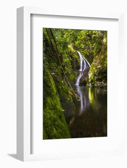 Wigmore's Waterfall, Rarotonga, Cook Islands, South Pacific, Pacific-Matthew Williams-Ellis-Framed Photographic Print