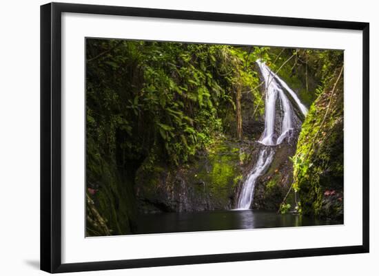 Wigmore's Waterfall, Rarotonga, Cook Islands, South Pacific, Pacific-Matthew Williams-Ellis-Framed Photographic Print