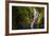 Wigmore's Waterfall, Rarotonga, Cook Islands, South Pacific, Pacific-Matthew Williams-Ellis-Framed Photographic Print