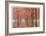 Wilamette Valley Maples II-Donald Paulson-Framed Giclee Print