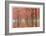 Wilamette Valley Maples II-Donald Paulson-Framed Giclee Print