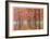 Wilamette Valley Maples II-Donald Paulson-Framed Giclee Print