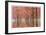 Wilamette Valley Maples II-Donald Paulson-Framed Giclee Print