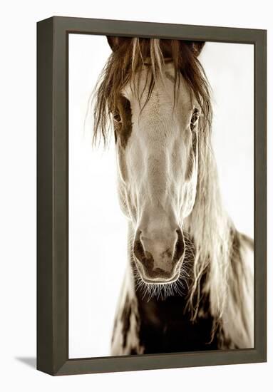 Wilbur Cruz-Lisa Dearing-Framed Premier Image Canvas