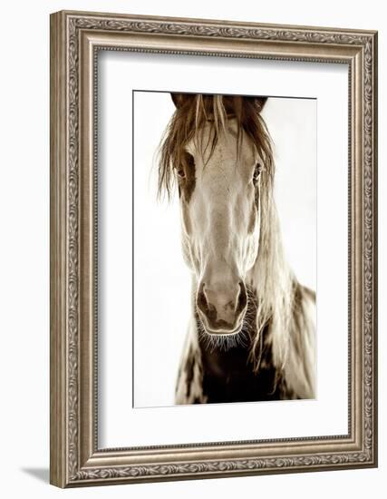 Wilbur Cruz-Lisa Dearing-Framed Photographic Print