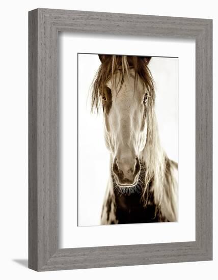 Wilbur Cruz-Lisa Dearing-Framed Photographic Print