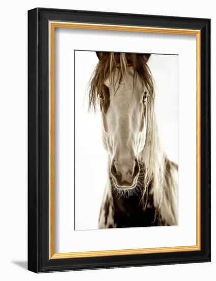 Wilbur Cruz-Lisa Dearing-Framed Photographic Print