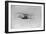 Wilbur Wright in Flight from Governor's Island Photograph - New York, NY-Lantern Press-Framed Art Print