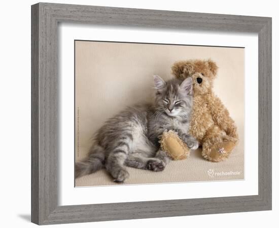 Wilbur-Rachael Hale-Framed Art Print