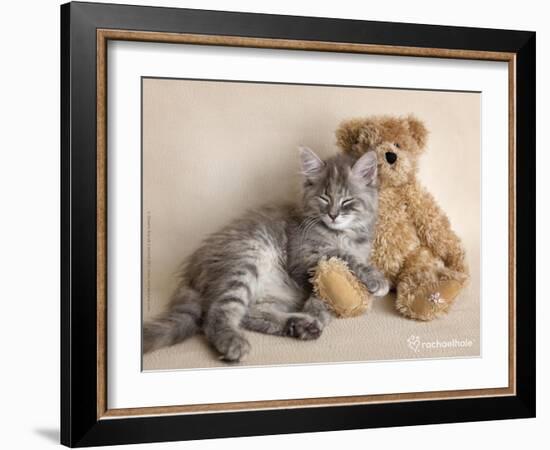 Wilbur-Rachael Hale-Framed Art Print