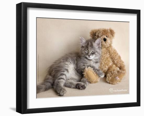 Wilbur-Rachael Hale-Framed Art Print