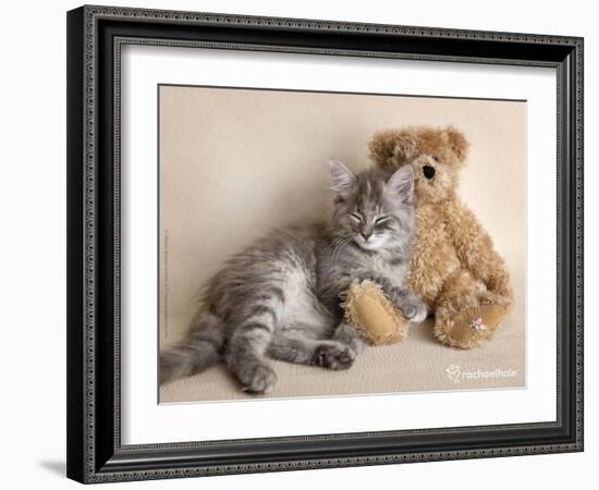 Wilbur-Rachael Hale-Framed Art Print