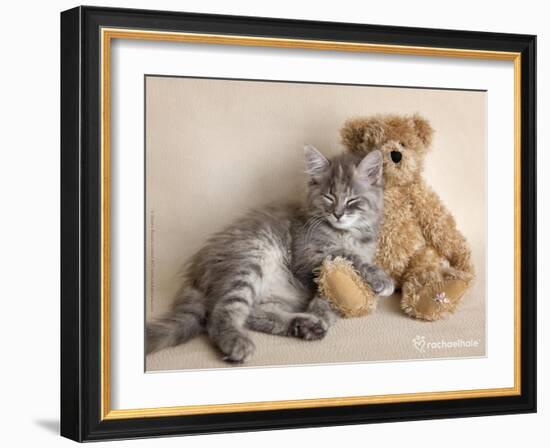 Wilbur-Rachael Hale-Framed Art Print