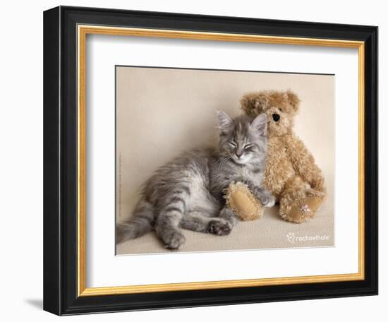 Wilbur-Rachael Hale-Framed Art Print