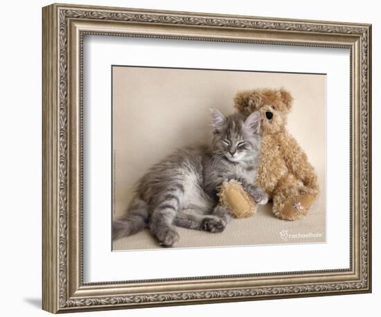 Wilbur-Rachael Hale-Framed Photographic Print