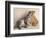 Wilbur-Rachael Hale-Framed Photographic Print