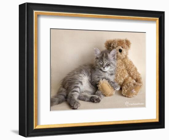 Wilbur-Rachael Hale-Framed Photographic Print