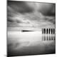 Premium Photographic Print