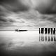 Premium Photographic Print