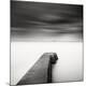 Premium Photographic Print