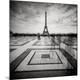 Photographic Print